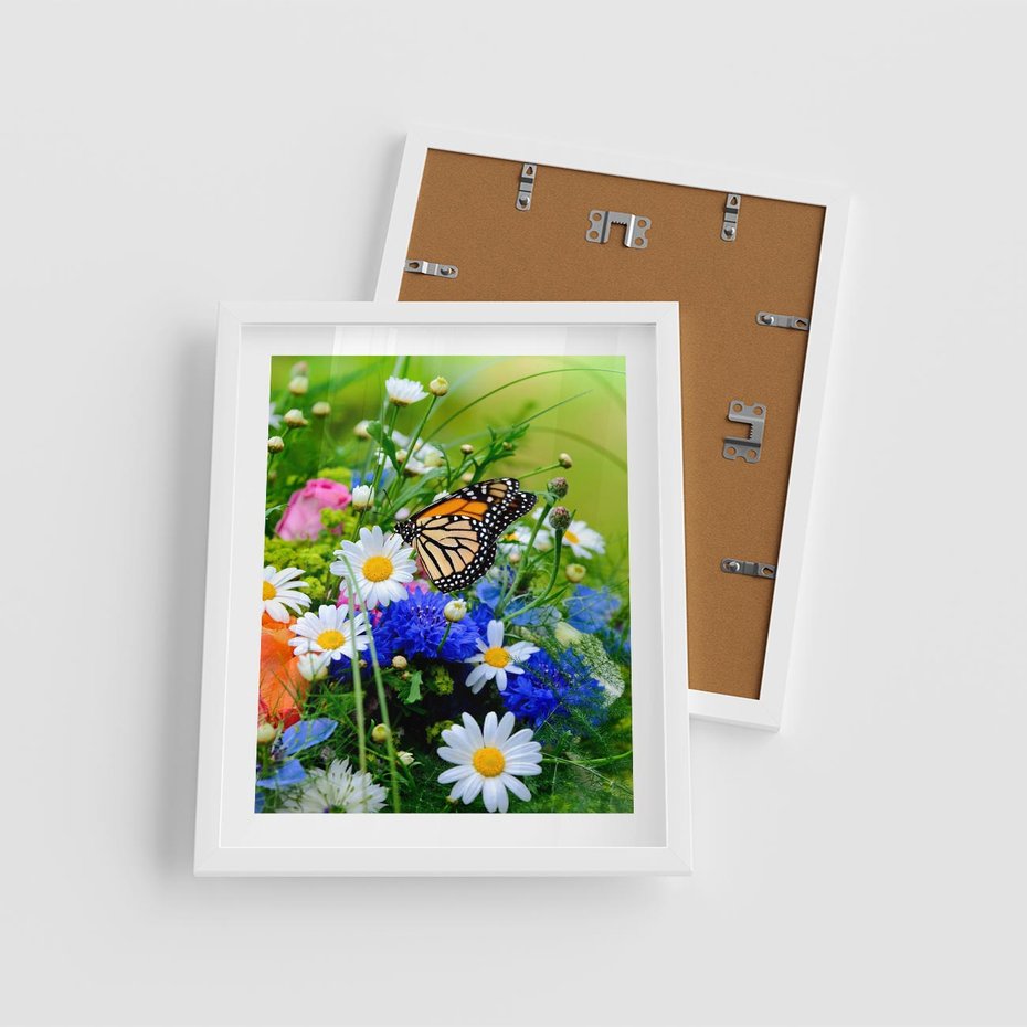 Plakat w ramie 40x50 - Kwiatowy Taniec - motyl, kwiaty - rama biała