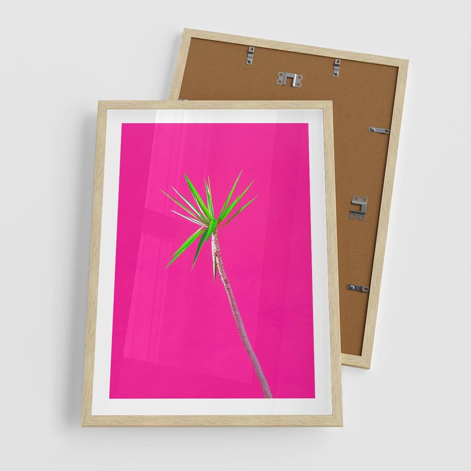 Plakat w ramie 50x70 - Retro Stylizacja - palma, liście - rama drewno