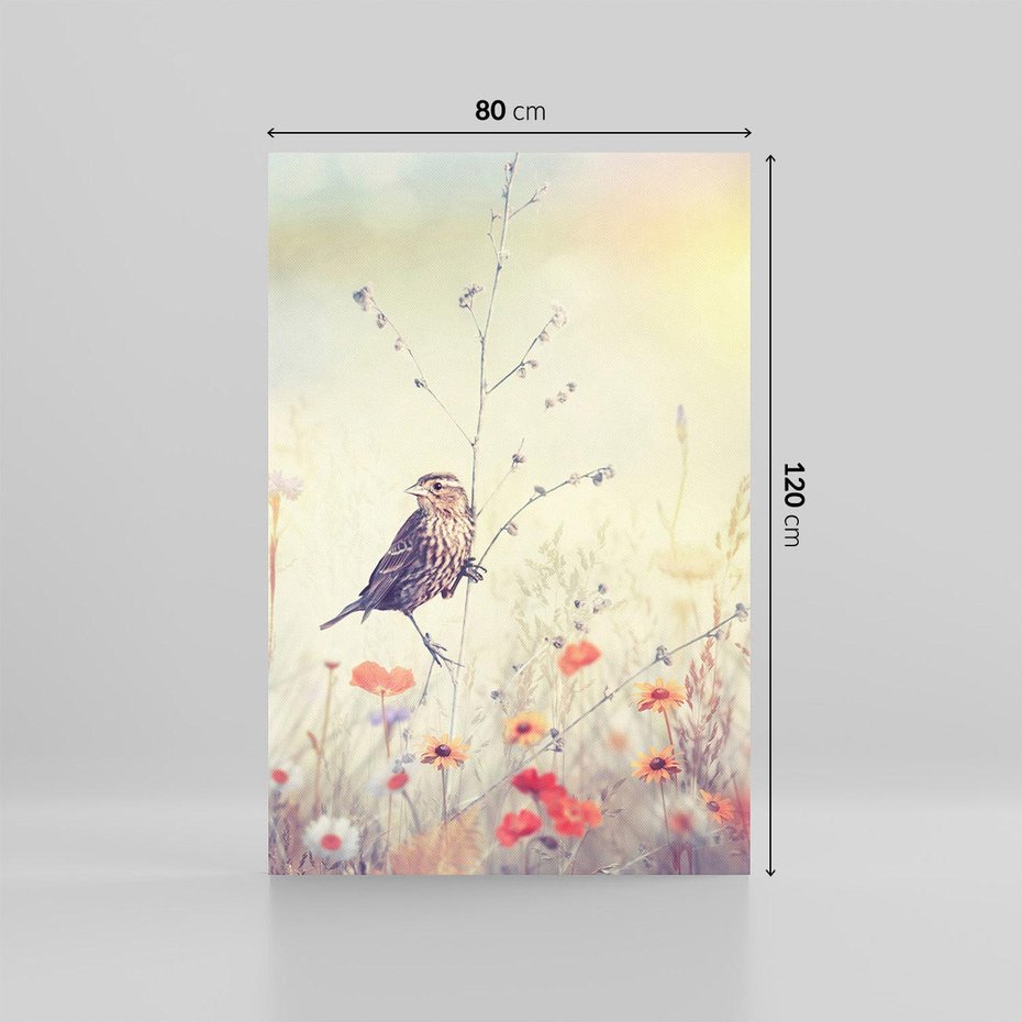 Obraz na płótnie 80x120 - Poranek wśród łąki - ptak, łąka