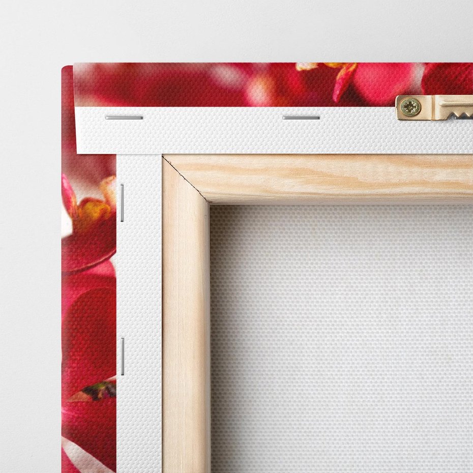 Obraz na płótnie 30x30 - Delikatność Kwiatowej Elegancji - orchidea, kwiat