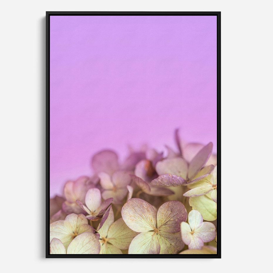 Obraz w ramie 70x100 - Kwiatowa Uroda - kwiaty, hortensje - rama czarna