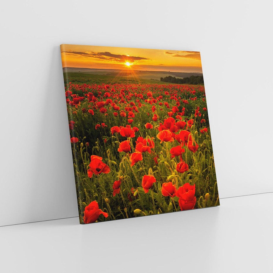 Obraz na płótnie 40x40 - Maki przy zachodzie słońca - maki, zachód