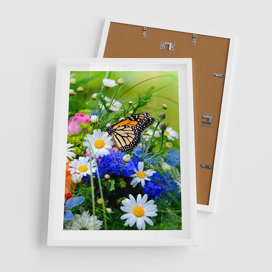Plakat w ramie 50x70 - Kwiatowy Taniec - motyl, kwiaty - rama biała