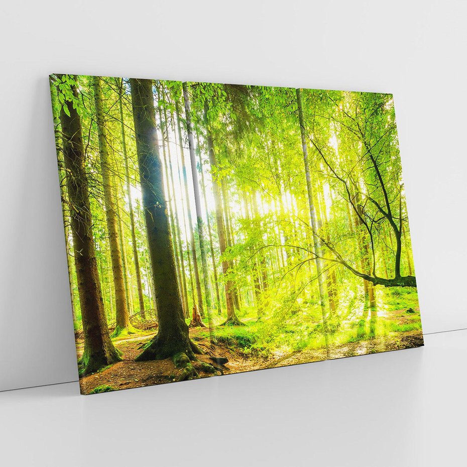 Obraz na płótnie 120x80 - Las w pełnym rozkwicie - las, drzewa