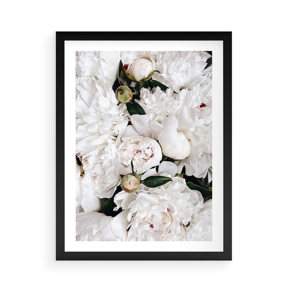 Plakat w ramie 50x70 - Modne Białe Kwiaty - białe kwiaty, płatki - rama czarna