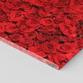 Obraz na płótnie 120x60 - Czerwona Pasja - czerwone, róże