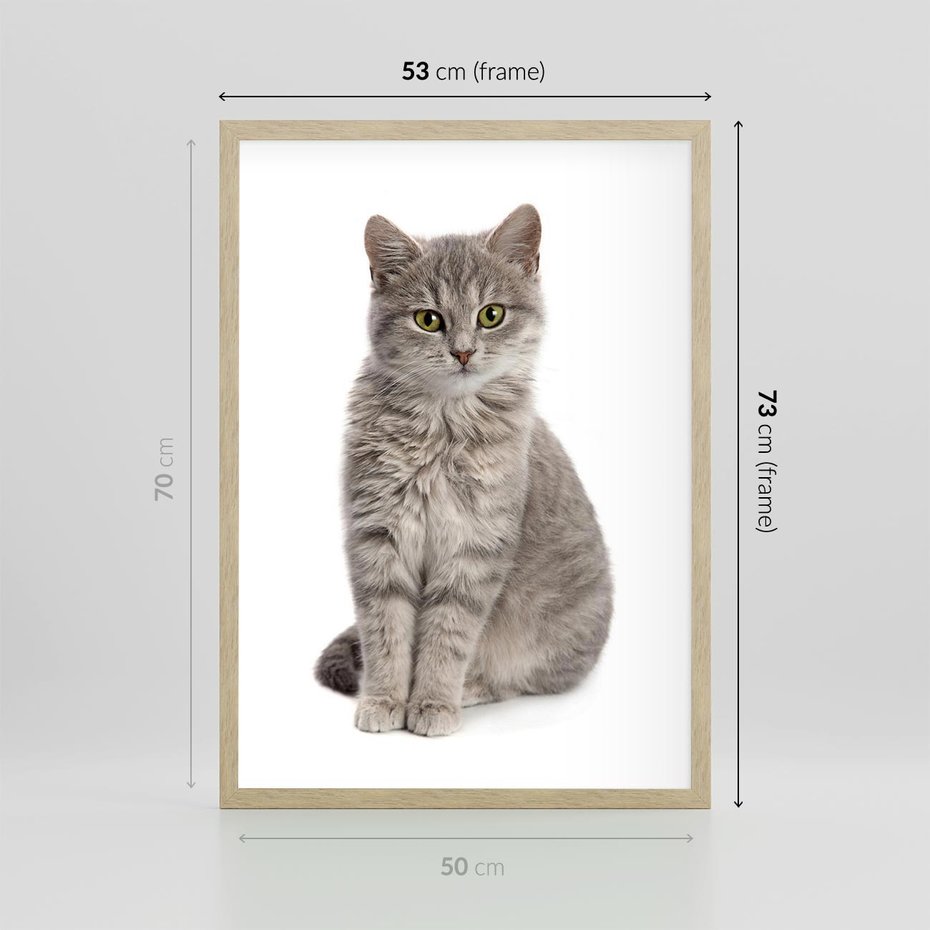 Plakat w ramie 50x70 - Kocie uroki na płótnie - kot, kotek - rama drewno