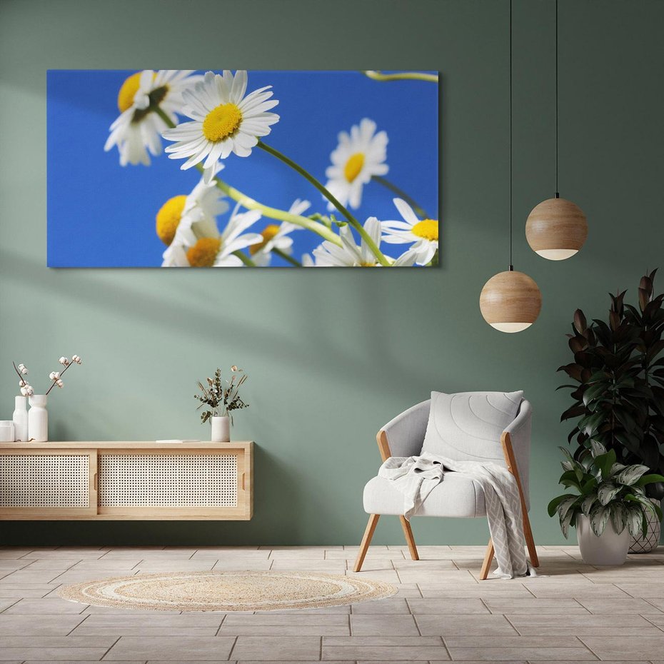 Obraz na płótnie 140x70 - Stokrotkowe pola - stokrotki, kwiaty