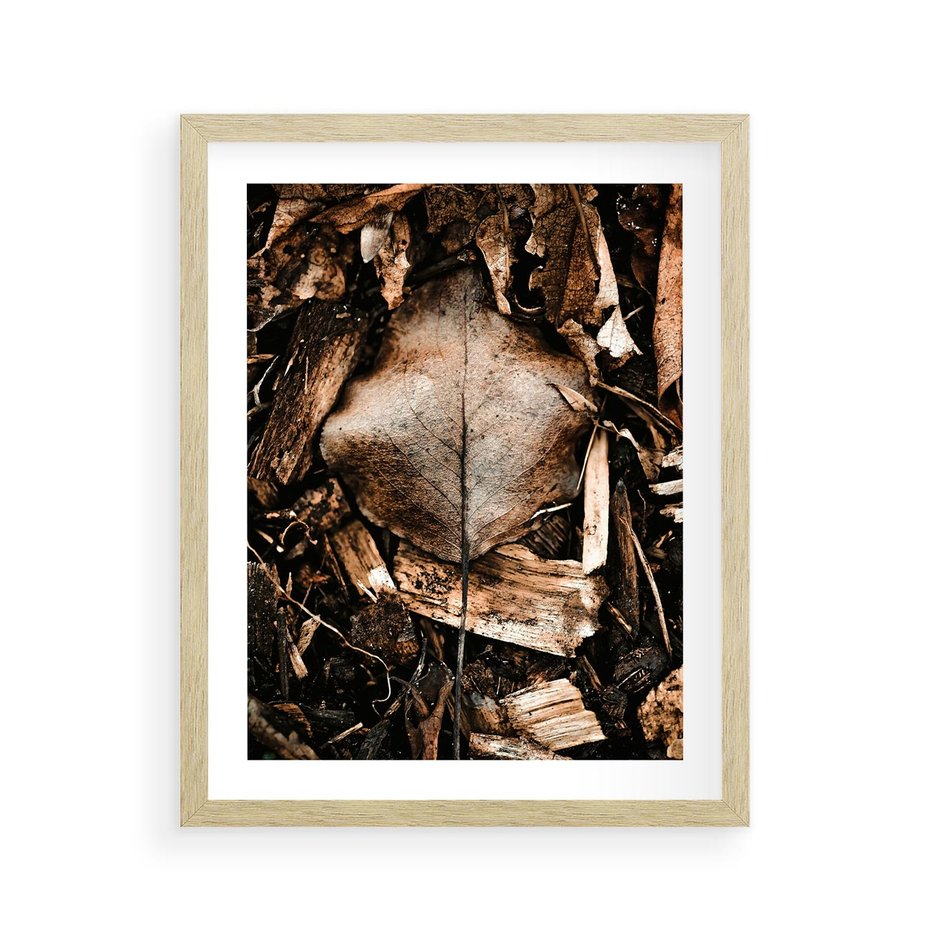 Plakat w ramie 40x50 - Samotny Liść - liść, brąz - rama drewno
