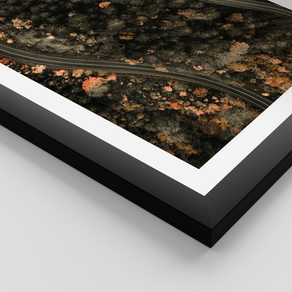 Plakat w ramie 40x50 - Las i Droga w Kolorach Jesieni - droga, ujęcie z góry - rama czarna