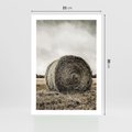 Plakat bez ramy 21x30 - Siano w Sepii: Wiejska Tradycja - snopek siana, bela siana