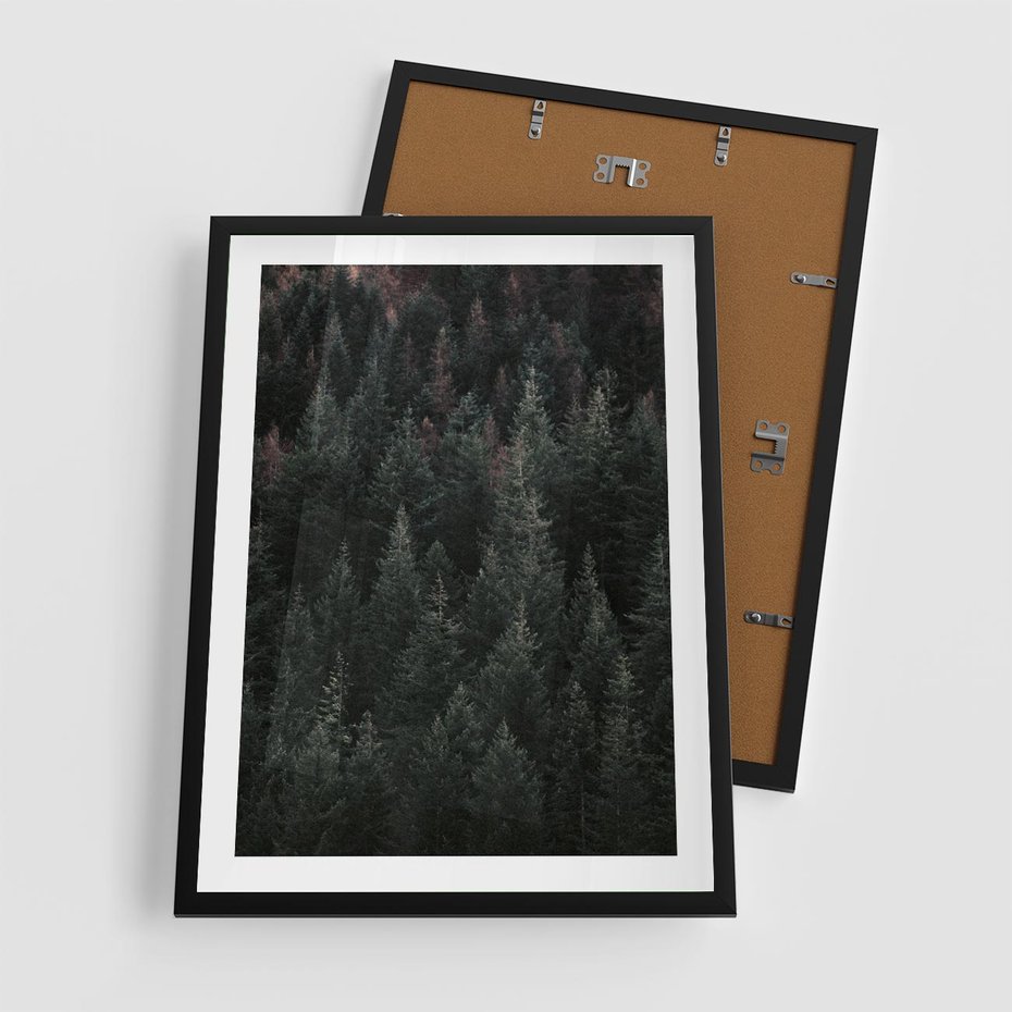 Plakat w ramie 50x70 - Wysoko nad Iglastym Lasem - las, perspektywa - rama czarna