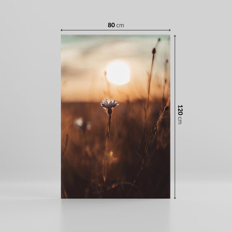 Obraz na płótnie 80x120 - Spokój łąki pod zachodem słońca - zachód, słońca