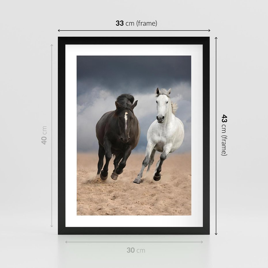 Plakat w ramie 30x40 - Siła koni w galopie - konie, galop - rama czarna