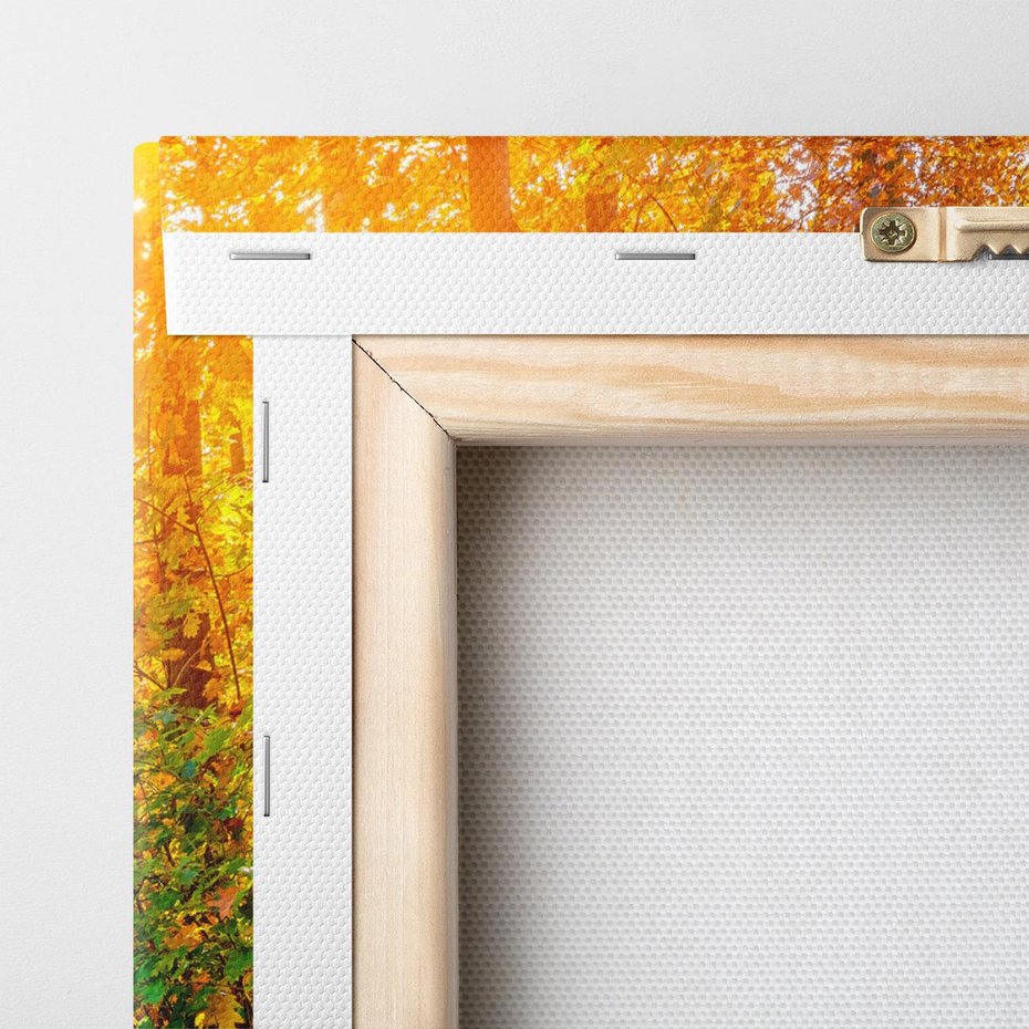 Obraz na płótnie 50x70 - Kolorowe drzewa na ścieżce jesieni - las, jesień