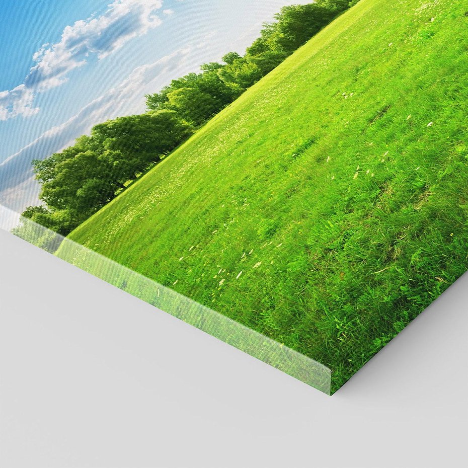 Obraz na płótnie 70x50 - Idylla na łące drzew - łąka, drzewa