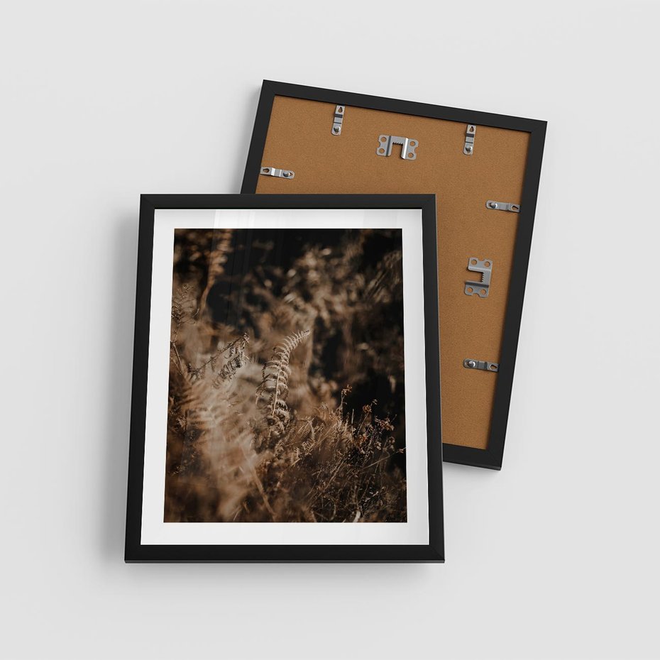 Plakat w ramie 40x50 - Delikatne Detale - paprocie, brąz - rama czarna