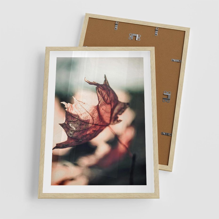 Plakat w ramie 50x70 - Liść w Jesieni - jesienny liść, czerwony - rama drewno