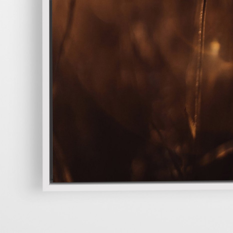 Obraz w ramie 80x120 - Spokój łąki pod zachodem słońca - zachód, słońca - rama biała