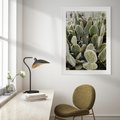 Plakat w ramie 30x40 - Kaktusowa Harmonia - kaktusy, fotografia - rama biała
