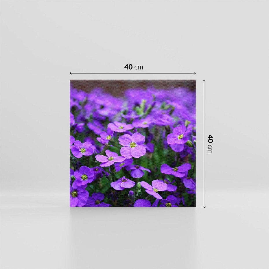 Obraz na płótnie 40x40 - Kwiatowe uniesienia magia natury - kwiat, kwiaty