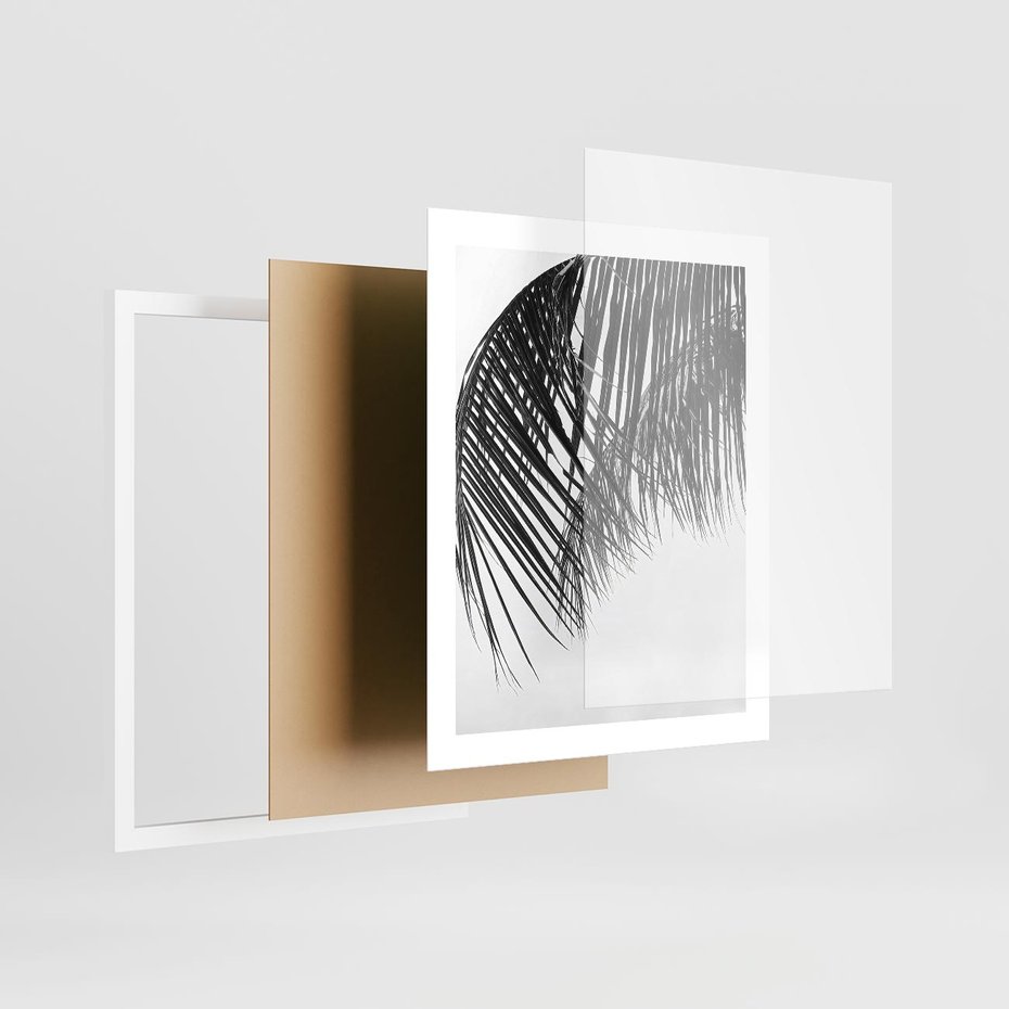 Plakat w ramie 40x50 - Czarno-Biały Kontrast - czarno białe zdjecie, palma - rama biała