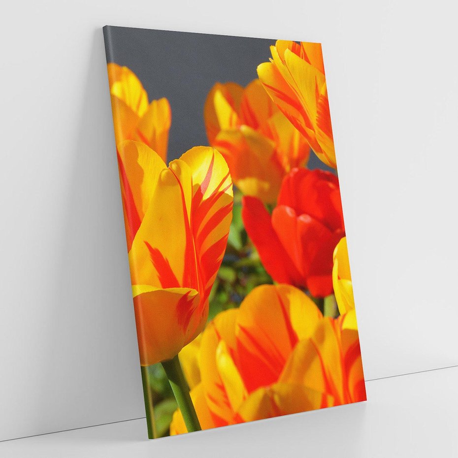 Obraz na płótnie 50x70 - Kwiatowa Harmonia - kwiaty, kwiat