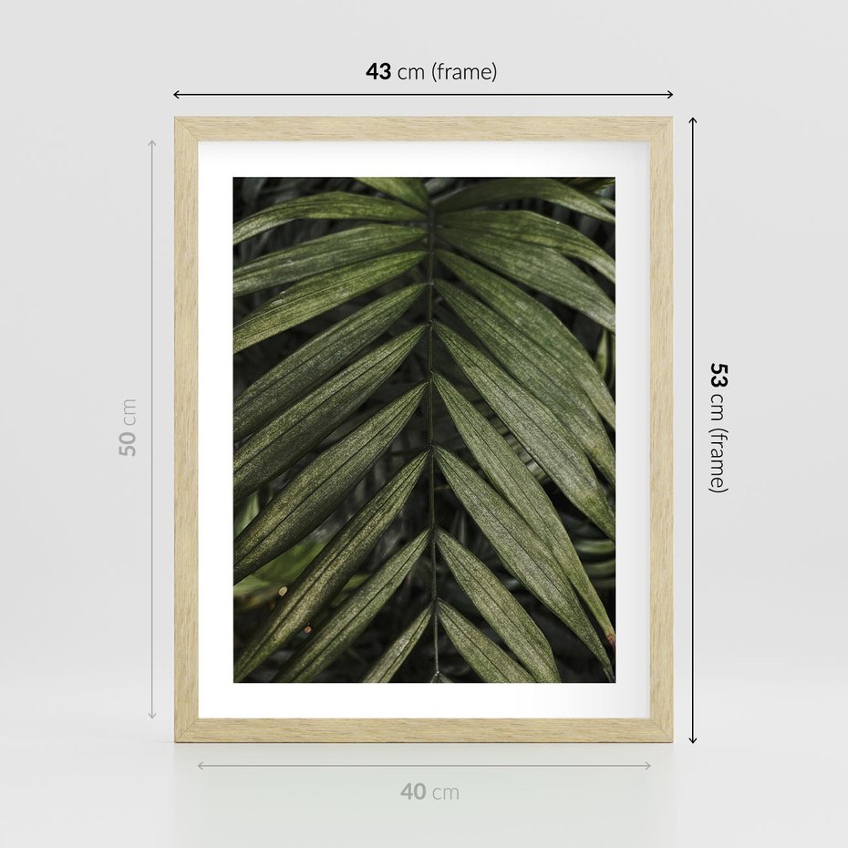 Plakat w ramie 40x50 - W Liściach Ukryte - zdjęcie, fotografia - rama drewno