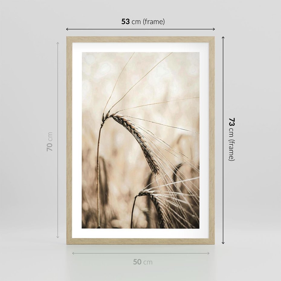 Plakat w ramie 50x70 - Źdźbło Pszenicy: Blisko Natury - źdźbło pszenicy, pszenica - rama drewno