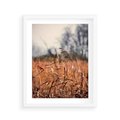 Plakat w ramie 40x50 - Jesienna Melancholia - suche trawy, jesień - rama biała