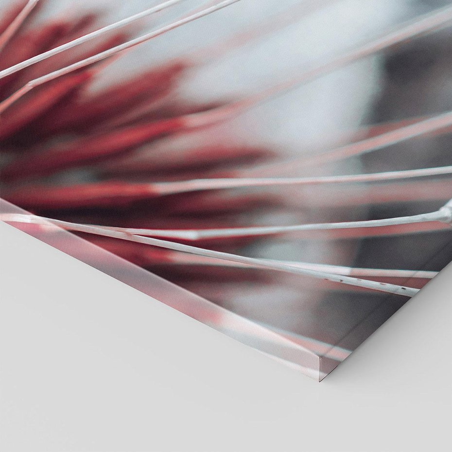 Obraz na płótnie 100x70 - Makro świat dmuchawca - dmuchawiec, makro