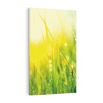 Obraz na płótnie 70x100 - Piękno Poranka - łąka, trawa