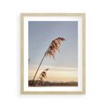 Plakat w ramie 40x50 - Naturalna Delikatność - trawy, boho - rama drewno