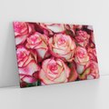 Obraz na płótnie 100x70 - Różany urok - kwiaty, róże