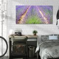 Obraz na płótnie 120x60 - Lawendowy kwiat - lawenda, kwiat