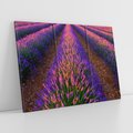 Obraz na płótnie 120x80 - Fioletowa Magia - pole, lawendy