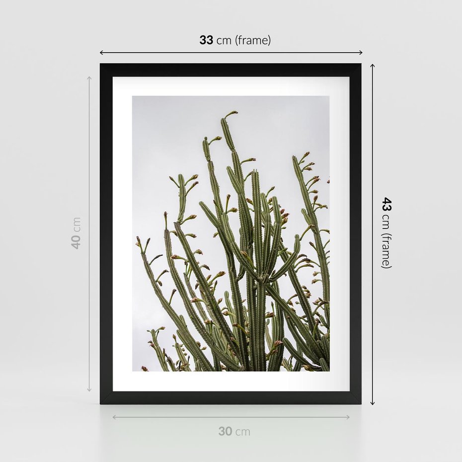 Plakat w ramie 30x40 - Ekskluzywna Roślinność - kaktusy, liście - rama czarna