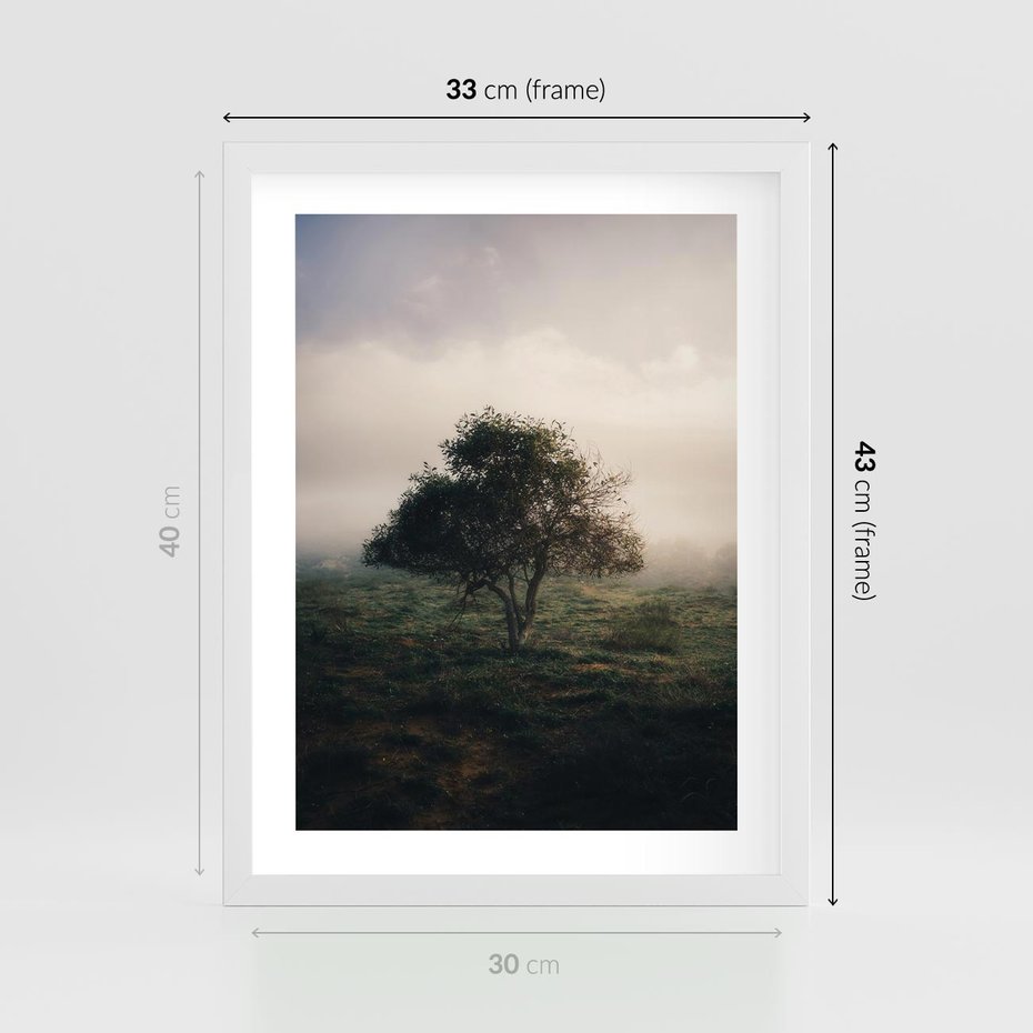 Plakat w ramie 30x40 - Zamglona Prostota - artystyczna fotografia, samotne drzewo na zamglonej łące - rama biała