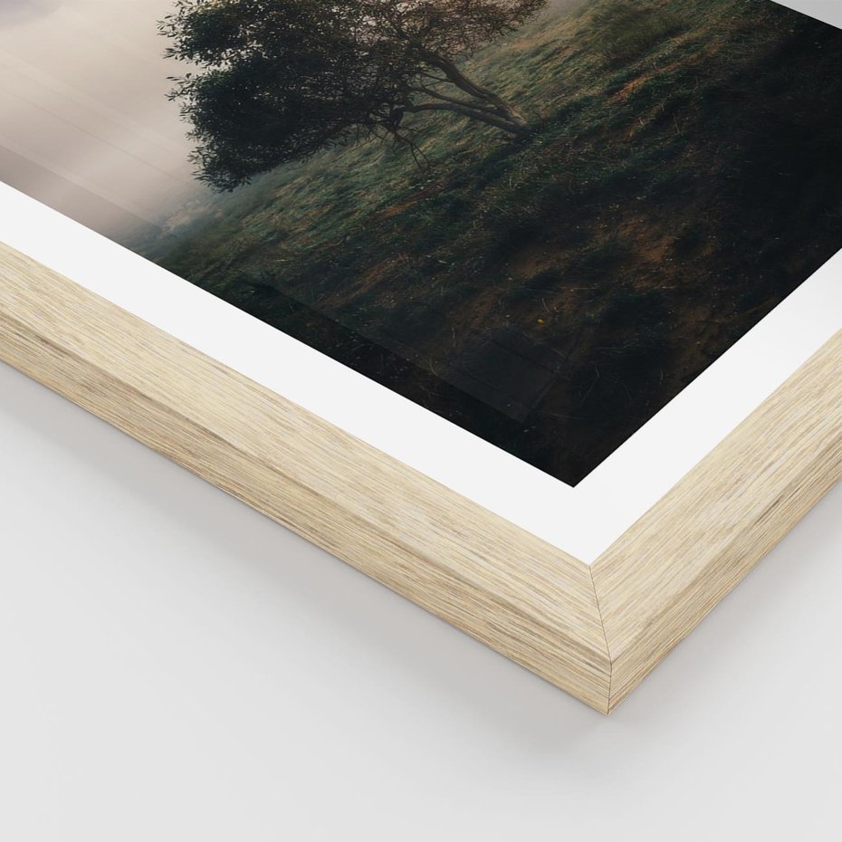 Plakat w ramie 40x50 - Zamglona Prostota - artystyczna fotografia, samotne drzewo na zamglonej łące - rama drewno