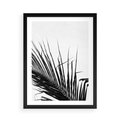 Plakat w ramie 50x70 - Sztuka Natury: Monochromatyczna Palma - palma, czarno białe zdjęcie - rama czarna