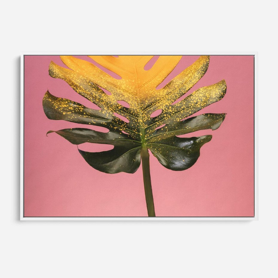 Obraz w ramie 70x50 - Majestatyczna monstera - monstera, liść - rama biała