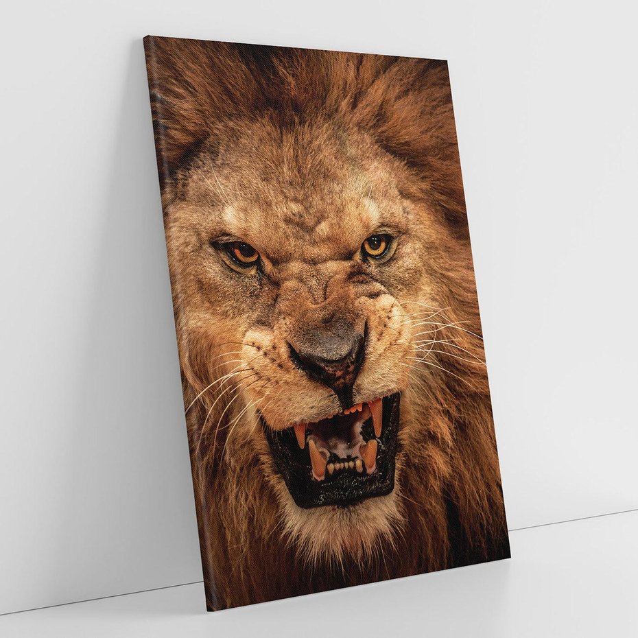 Obraz na płótnie 70x100 - Władca Sawanny - lew, sawanna