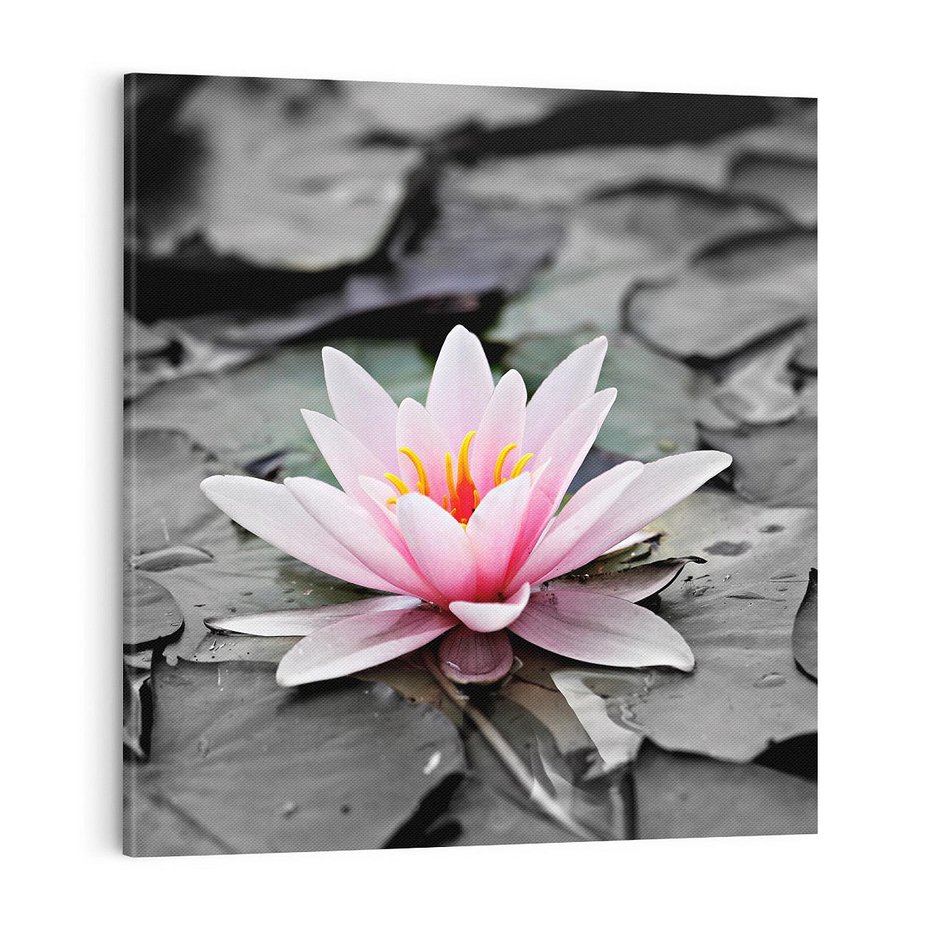 Obraz na płótnie 70x70 - Liliowy kwiat - lilia, kwiat