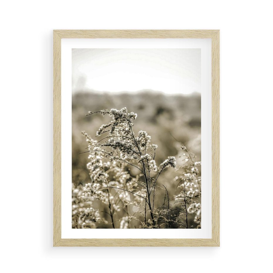 Plakat w ramie 50x70 - Pampas i Bocho - suche trawy, bocho - rama drewno