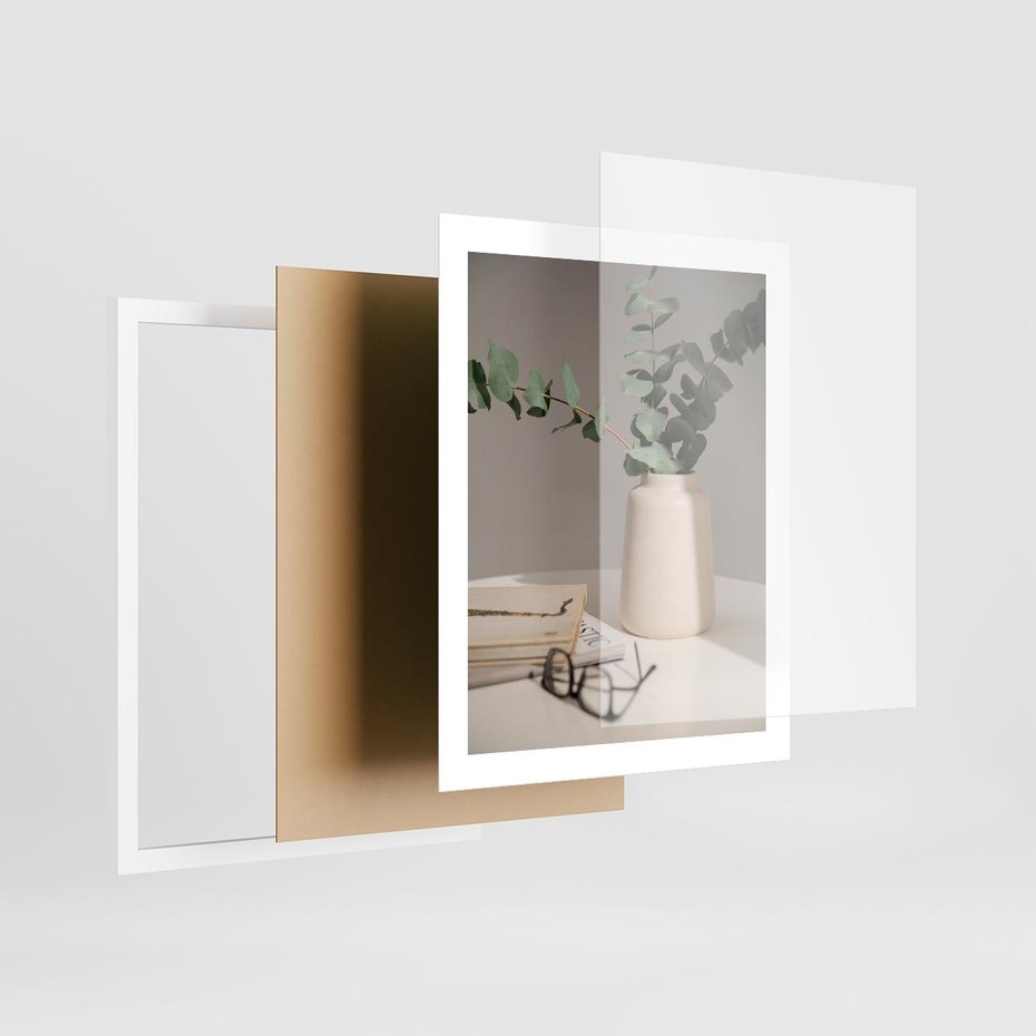 Plakat w ramie 40x50 - Eukaliptusowe liście w okularach - liście, eukaliptus - rama biała