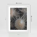 Plakat w ramie 40x50 - Ulotna Piękność Natury - makro, dmuchawce - rama biała
