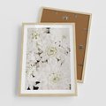 Plakat w ramie 50x70 - Białe Kwiaty: Płatki Delikatności - białe kwiaty, zbliżenie - rama drewno