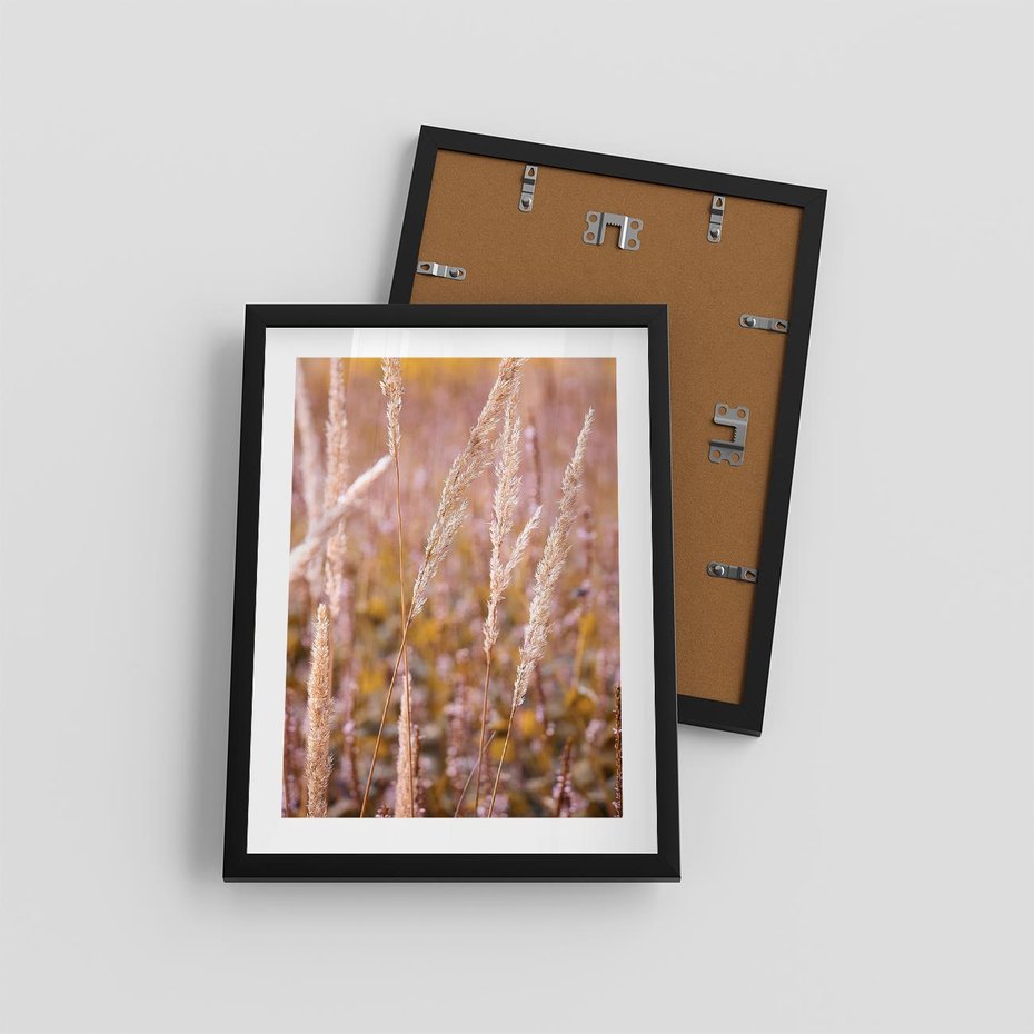 Plakat w ramie 30x40 - Sucha Trawa w Sierpniu - trawy, łąka - rama czarna
