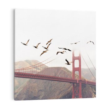 Obraz na płótnie 70x70 - Mewy przy Złotej Bramie - mewy, Golden Gate