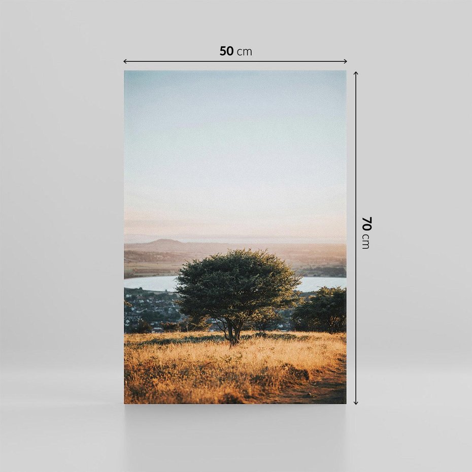 Obraz na płótnie 50x70 - Siła Natury - drzewo, pejzaż